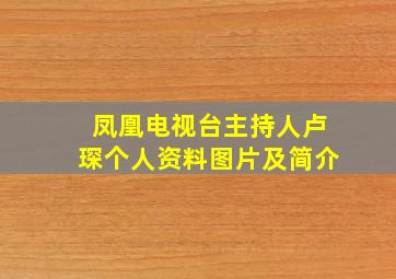 凤凰电视台主持人卢琛个人资料图片及简介