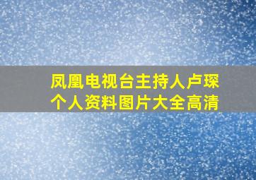 凤凰电视台主持人卢琛个人资料图片大全高清