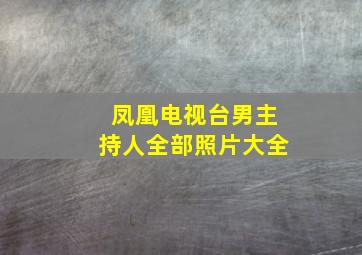 凤凰电视台男主持人全部照片大全