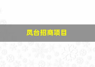 凤台招商项目