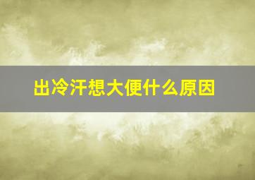 出冷汗想大便什么原因