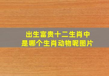 出生富贵十二生肖中是哪个生肖动物呢图片