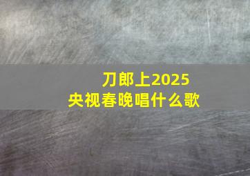 刀郎上2025央视春晚唱什么歌