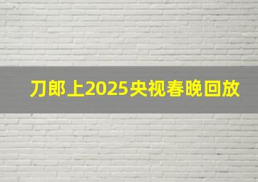 刀郎上2025央视春晚回放