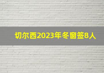 切尔西2023年冬窗签8人