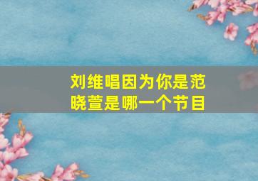 刘维唱因为你是范晓萱是哪一个节目