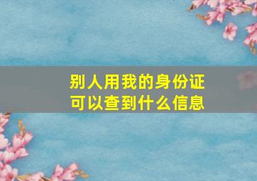 别人用我的身份证可以查到什么信息