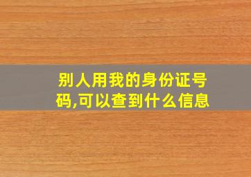 别人用我的身份证号码,可以查到什么信息