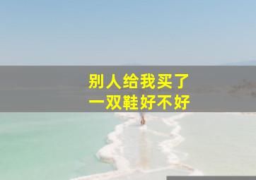 别人给我买了一双鞋好不好