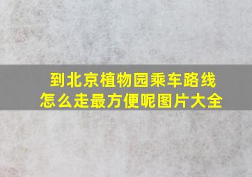 到北京植物园乘车路线怎么走最方便呢图片大全