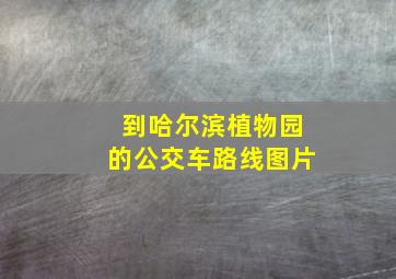 到哈尔滨植物园的公交车路线图片