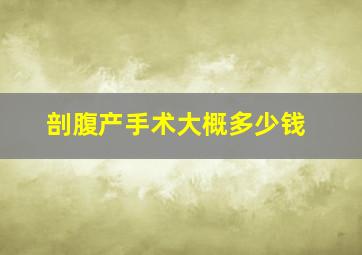 剖腹产手术大概多少钱