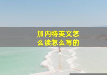 加内特英文怎么读怎么写的