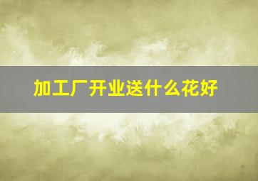 加工厂开业送什么花好