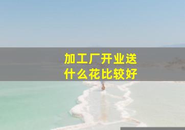 加工厂开业送什么花比较好