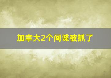 加拿大2个间谍被抓了