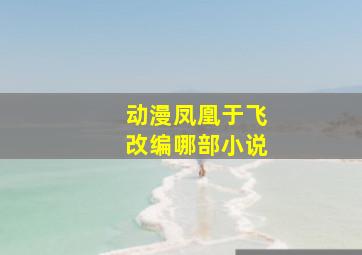 动漫凤凰于飞改编哪部小说