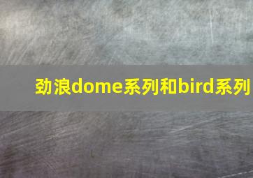 劲浪dome系列和bird系列