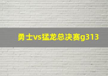 勇士vs猛龙总决赛g313