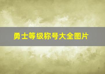 勇士等级称号大全图片