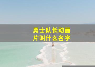 勇士队长动画片叫什么名字