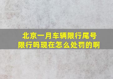 北京一月车辆限行尾号限行吗现在怎么处罚的啊