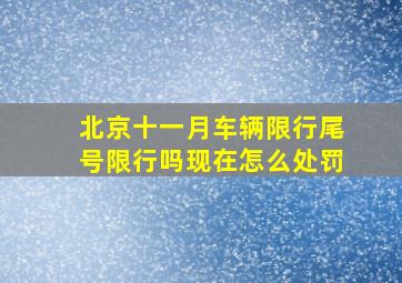 北京十一月车辆限行尾号限行吗现在怎么处罚