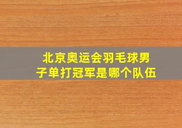 北京奥运会羽毛球男子单打冠军是哪个队伍