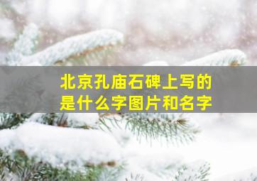 北京孔庙石碑上写的是什么字图片和名字