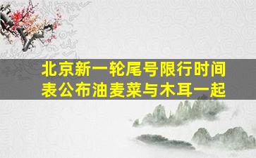 北京新一轮尾号限行时间表公布油麦菜与木耳一起