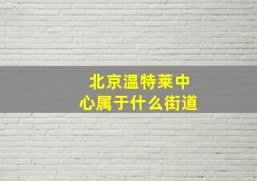 北京温特莱中心属于什么街道