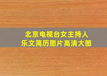 北京电视台女主持人乐文简历图片高清大图