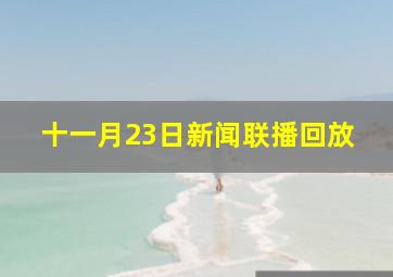 十一月23日新闻联播回放