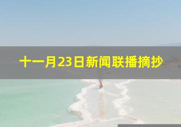 十一月23日新闻联播摘抄