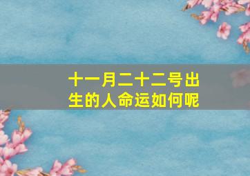 十一月二十二号出生的人命运如何呢