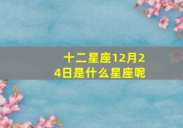 十二星座12月24日是什么星座呢