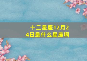 十二星座12月24日是什么星座啊