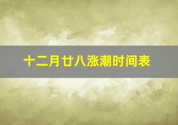 十二月廿八涨潮时间表