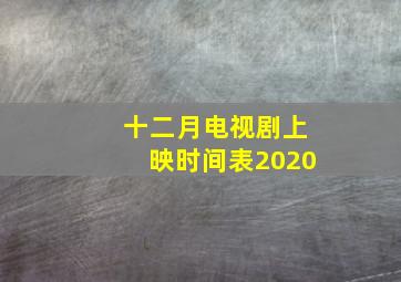 十二月电视剧上映时间表2020