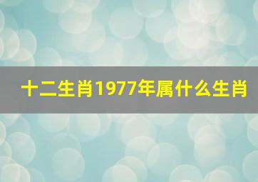 十二生肖1977年属什么生肖