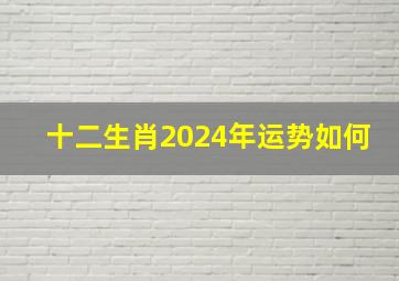 十二生肖2024年运势如何