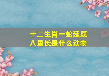 十二生肖一蛇延愿八里长是什么动物