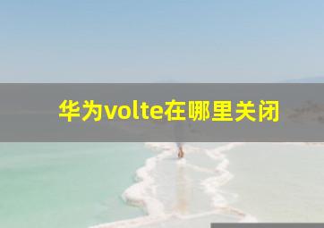 华为volte在哪里关闭