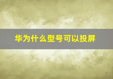 华为什么型号可以投屏