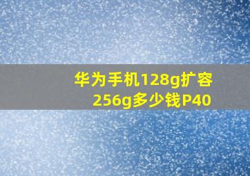 华为手机128g扩容256g多少钱P40