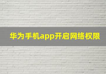 华为手机app开启网络权限