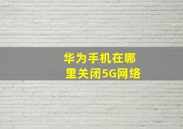 华为手机在哪里关闭5G网络