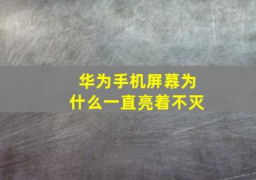 华为手机屏幕为什么一直亮着不灭