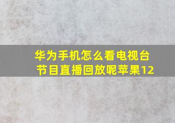 华为手机怎么看电视台节目直播回放呢苹果12