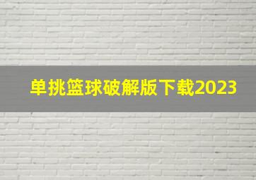 单挑篮球破解版下载2023